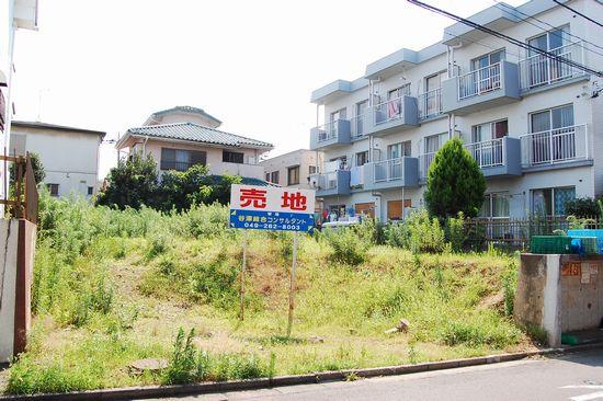 Local land photo. Local (July 2012) shooting