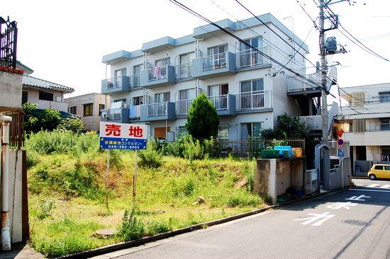 Local photos, including front road. Local (July 2012) shooting