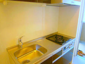 Kitchen. In two-burner stove with grill, Fun cooking