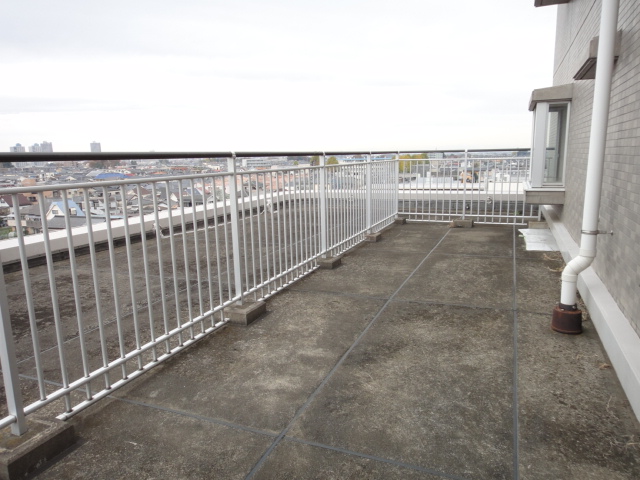 Other. Roof is the balcony of the room. 