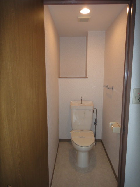 Toilet. It comes with warm toilet. 