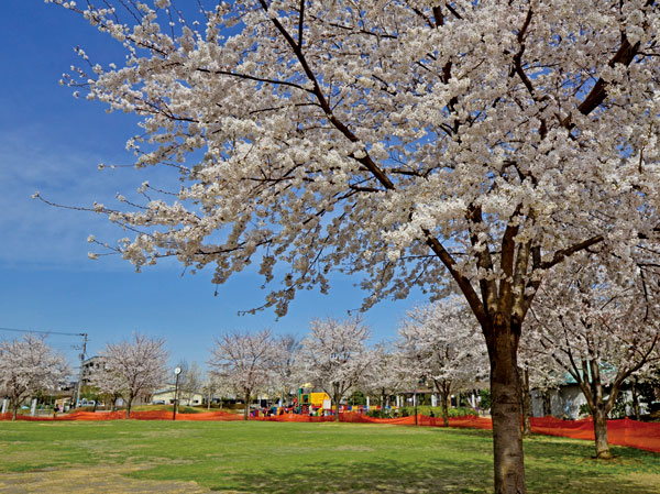 Surrounding environment. Gen Katsuse Memorial Park (4-minute walk ・ 260m)