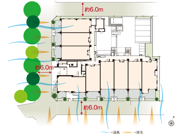 Surrounding environment. Site layout
