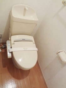 Toilet. With cleaning function heating toilet seat