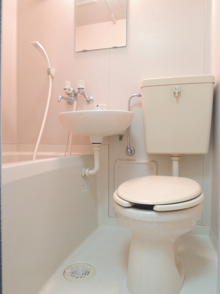 Toilet. Also it comes with a mirror