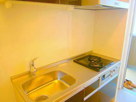 Kitchen. In two-burner stove with grill, Fun cooking