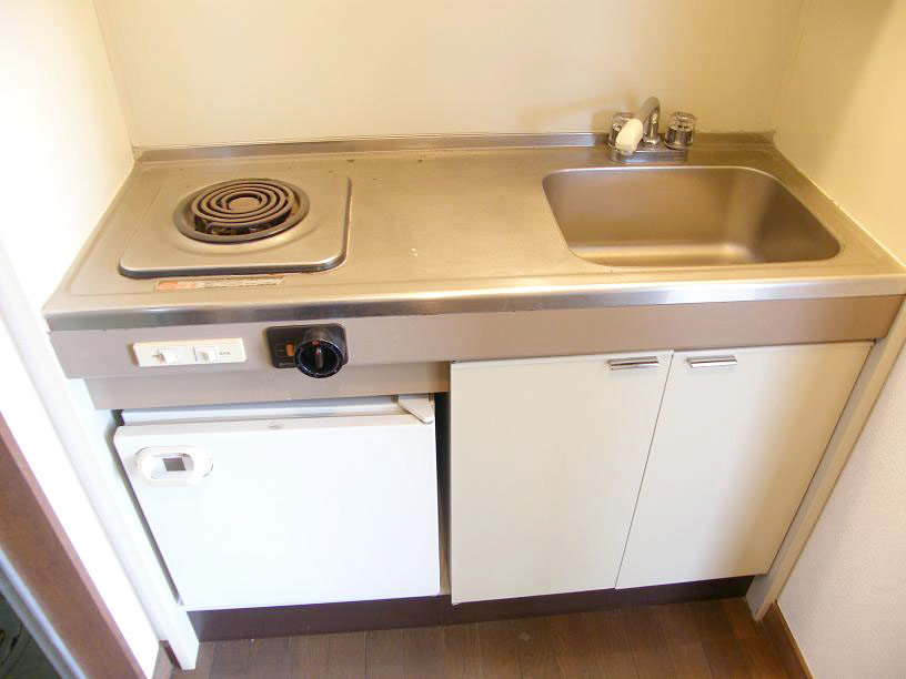 Kitchen. With electric stove With a mini fridge