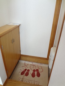 Entrance. Entrance. There is also a footwear purse.