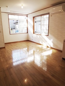 Living and room. Two-sided lighting