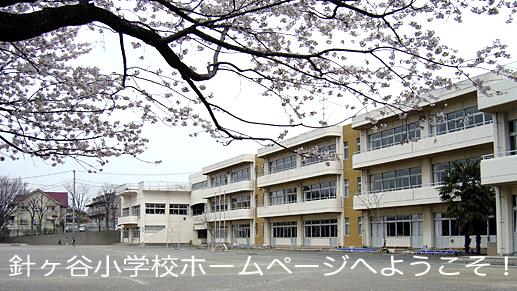 Primary school. Fujimi Municipal Hariya to elementary school 826m