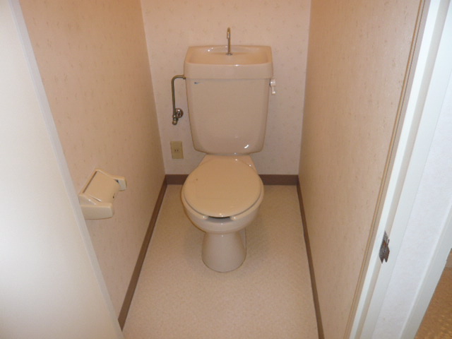 Toilet. It is a photograph of another room
