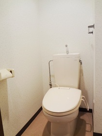 Toilet. Beautiful toilet