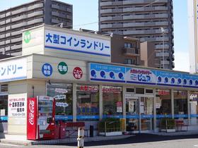 Other. 295m until the coin-operated laundry (Other)