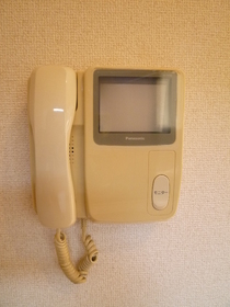 Other Equipment. Monitor with Inter horn