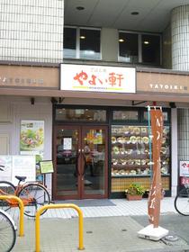 Other. Yayoi to (other) 620m