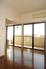 Living and room. Balcony is widely southwest-facing room
