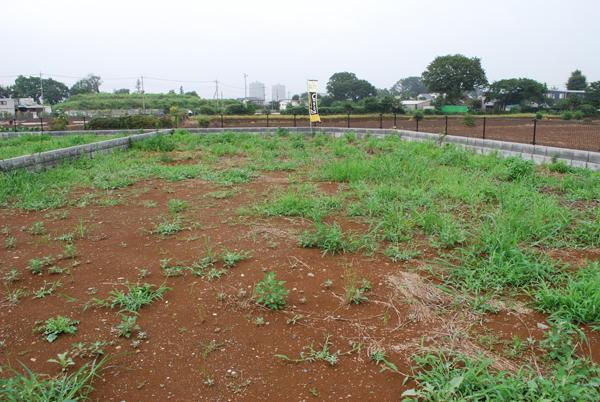 Local land photo. Local (July 2013) Shooting