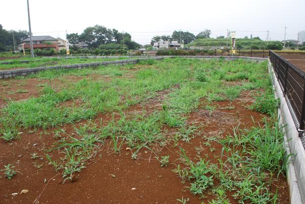 Local land photo. Local (July 2013) Shooting