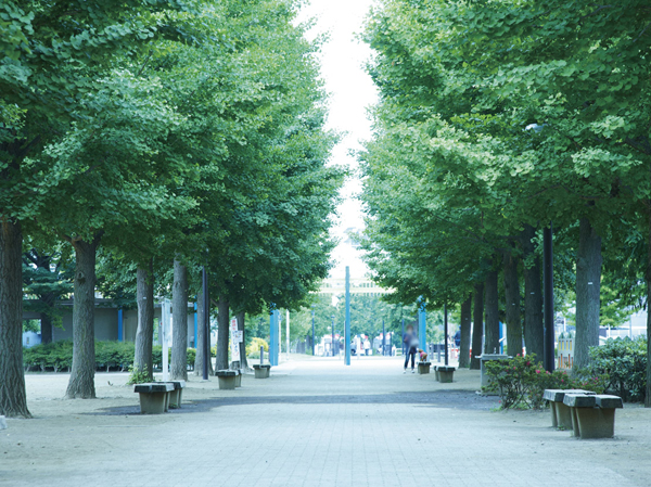 Surrounding environment. West Central Park (about 1470m ・ 19 minutes walk)