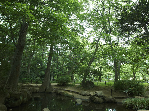 Surrounding environment. Oi Benten Forest (about 3.7km)