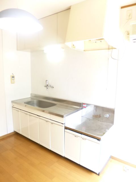 Kitchen. Spacious kitchen sink