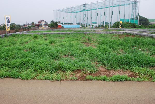 Local land photo. Local (July 2013) Shooting