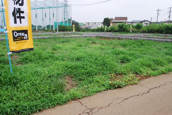 Local land photo. Local (July 2013) Shooting