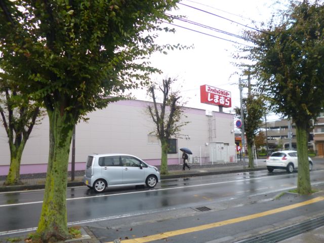 Other. 380m until Shimamura (Other)