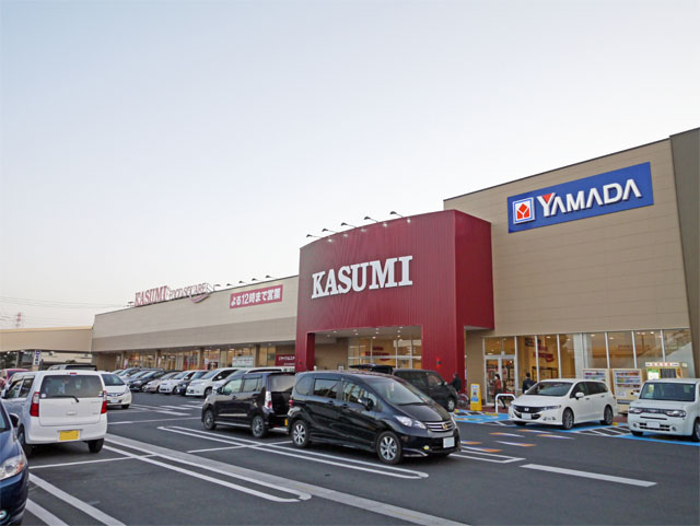Shopping centre. Yamada Denki Fujimino store up to (shopping center) 270m
