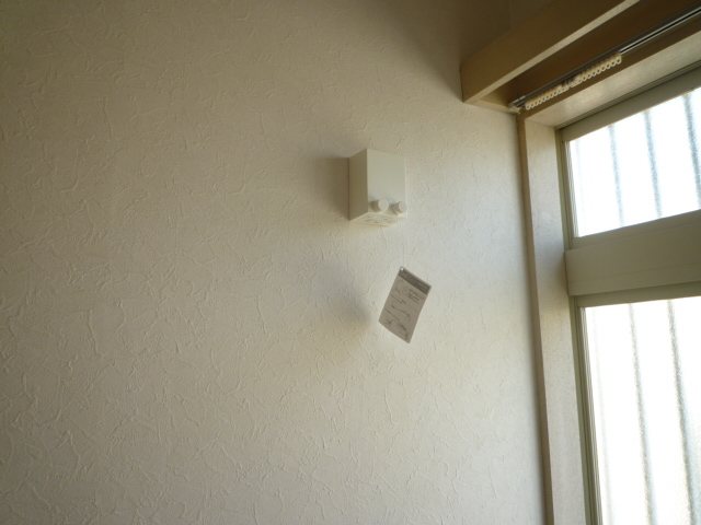 Other. Indoor Dried wire