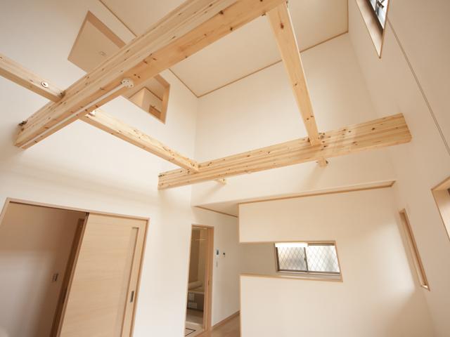 Living. Room (August 2013) Shooting