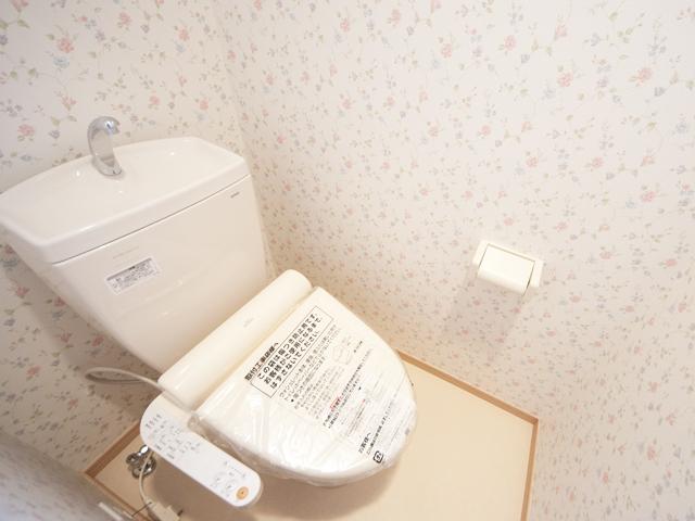 Toilet. Room (August 2013) Shooting