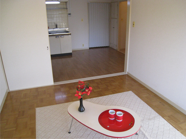 Other room space. Western style room