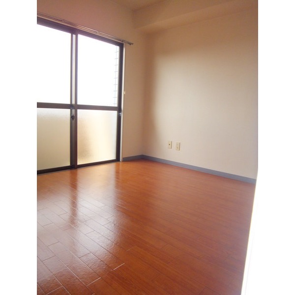 Living and room. Widely bright with a large window