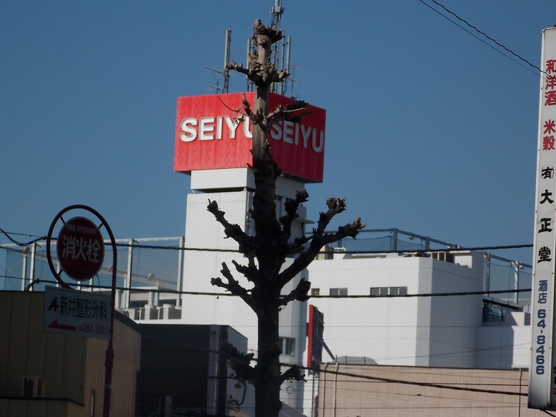 Supermarket. Seiyu Kamifukuoka store up to (super) 205m