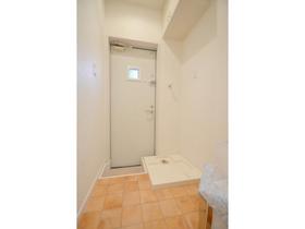 Entrance. Washing machine in the room