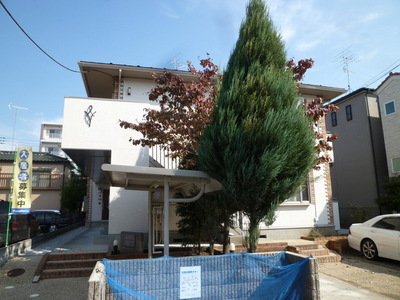 Other. (Other) up to 10m