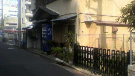 Local land photo. appearance