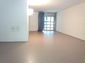 Living and room. Loft rooms