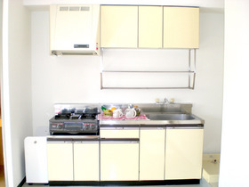 Kitchen. You can put two-burner stove