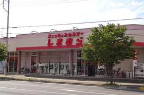 Other. 300m until Shimamura (Other)