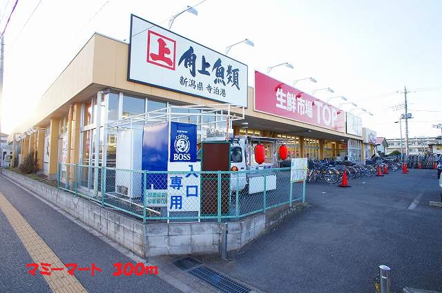 Supermarket. 300m until fresh market TOP (super)