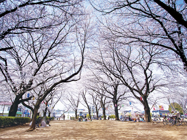 Surrounding environment. Central Park Fukuoka (about 10m ・ 1-minute walk)