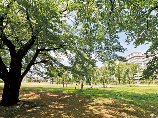 Surrounding environment. Central Park Fukuoka (about 10m ・ 1-minute walk)