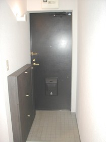 Entrance. There are storage (shoes purse).