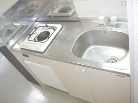 Kitchen. With gas stove.