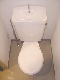 Toilet. Independent toilet. 
