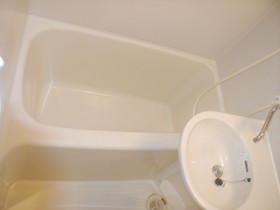 Bath. Bus toilet cormorants in another s.