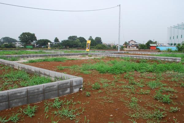 Local land photo. Local (July 2013) Shooting