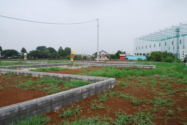 Local land photo. Local (July 2013) Shooting